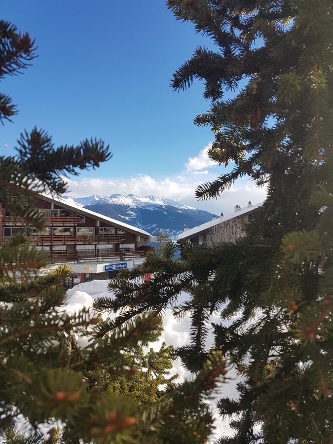 Holidays Groupes Anzère Kültér fotó